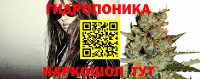 прущая мука Тверь