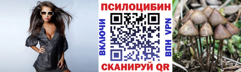 гидра маркетплейс  Новокузнецк  Псилоцибиновые грибы Psilocybine cubensis 