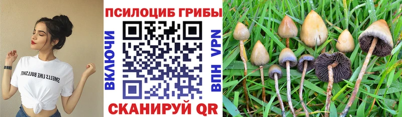 Псилоцибиновые грибы ЛСД Новокузнецк