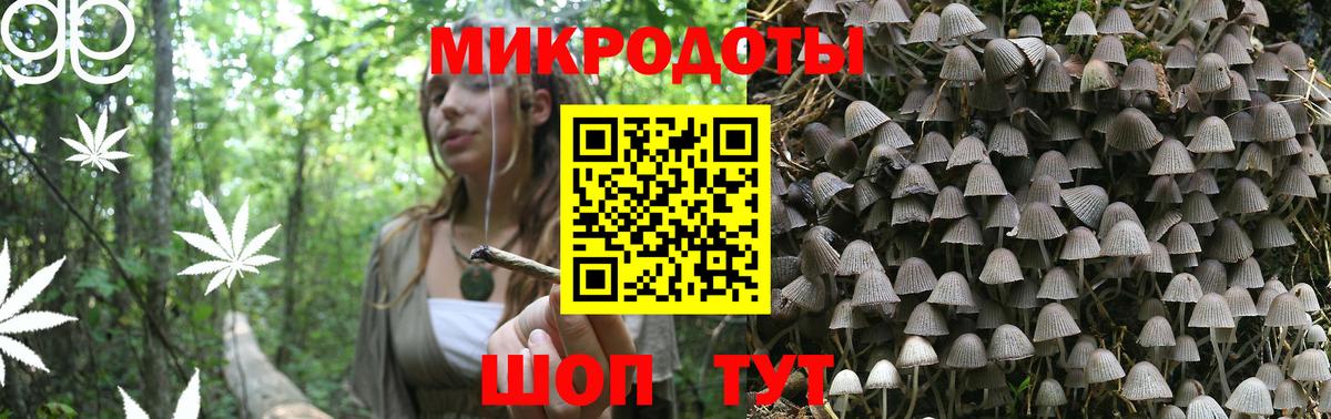 Новокузнецк  сколько стоит  Вход с VPN  Псилоцибиновые грибы Psilocybe 